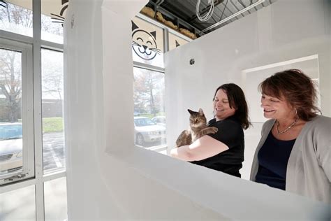Happy Cat Hotel & Spa in Mount Laurel offers purrfect getaway for felines
