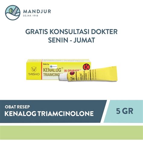 Jual Kenalog In Orabase 5 Gram | Shopee Indonesia