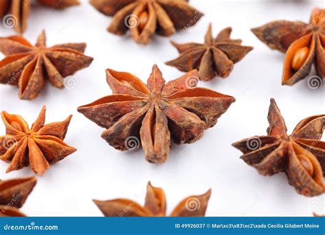 Star aniseed stock image. Image of natural, herb, ingredient - 49926037