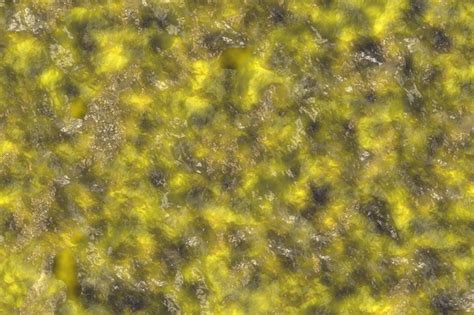 Swamp Ground Texture 的图像结果