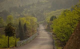 Anji, the first green city in China that’s attracting travellers from ...