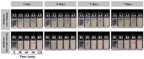 Sea Bass Fish Head Broth Treated by Thermo-Ultrasonication: Improving ...