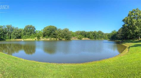 THE LEWIS RANCH EXPERIENCE (2025) All You Need to Know BEFORE You Go ...