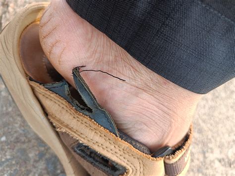 Woodland mens GD 2662117NW KHAKI_O Sport Sandal - 11 UK (45 EU) (GD ...