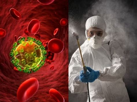 A new virus wreaks havoc China First human death H3N8 bird flu | चीन ...