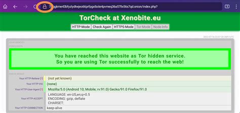 Errors in displaying site onion/HTTPS/HTTP icon and info - Tor Browser ...