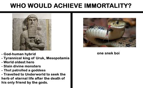 Anyone up for some Mesopotamian meme? : r/HistoryMemes