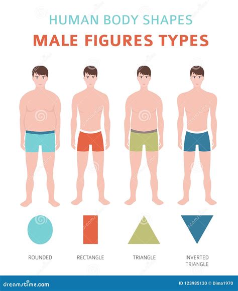 Types Of Male Figures at Freddy Bulloch blog