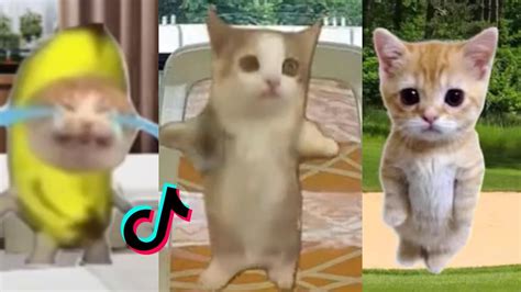 Image result for ActionScript Animation