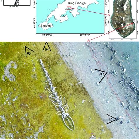 WB Geography 的图像结果