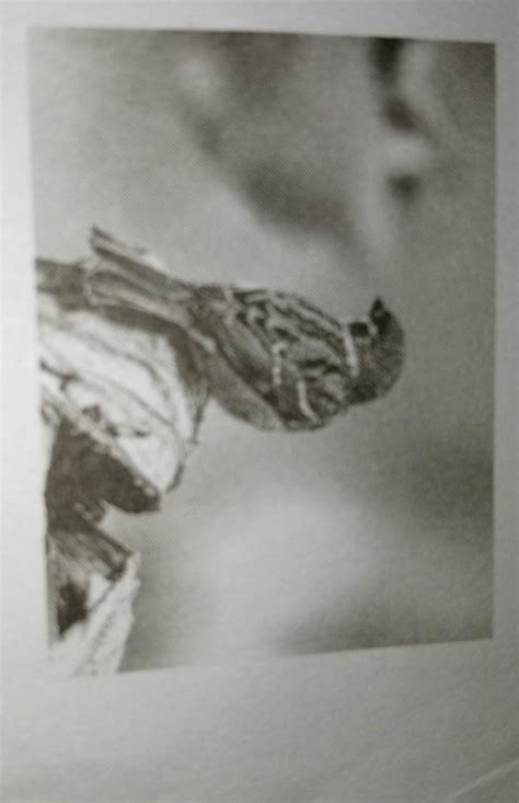 18. Which of the following could be the possible reasons behind ...