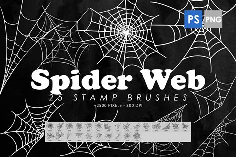 Spider Web Psd