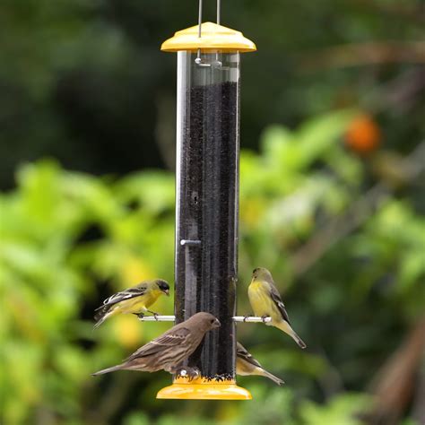 Kingsyard Metal House Bird Feeder with Large Tray