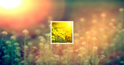 Obituary Galleries | Sharon L. Ritter of Freeport, Illinois | Walker ...