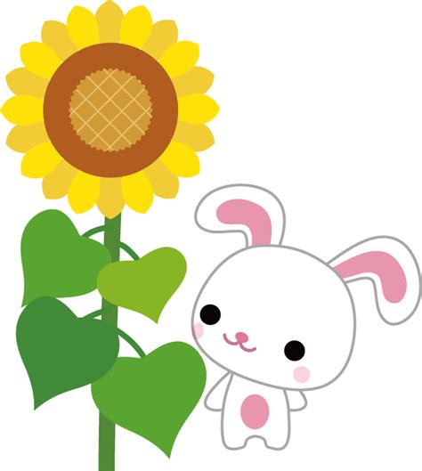 Image result for Thank You Python Code Images