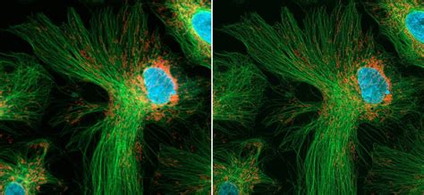 Image result for What Is Point Spread Function Sample Density