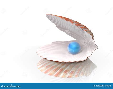 Perla azul en un shell imagen de archivo. Imagen de azul - 16809357