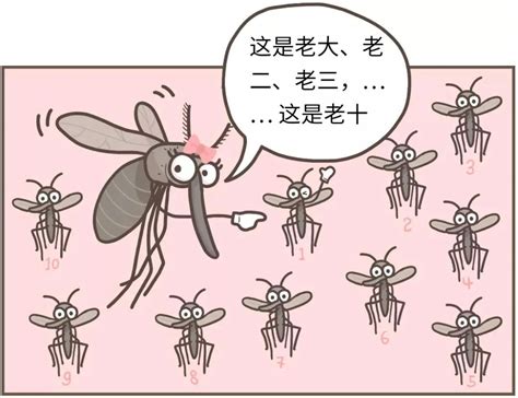 今年蚊子“嗡”得有点早？莫慌，爱国卫生月有成效 本月中下旬对蚊“宣战”