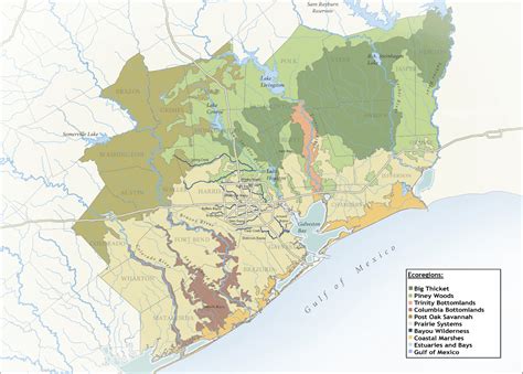 Volunteer Opportunities — Houston Wilderness