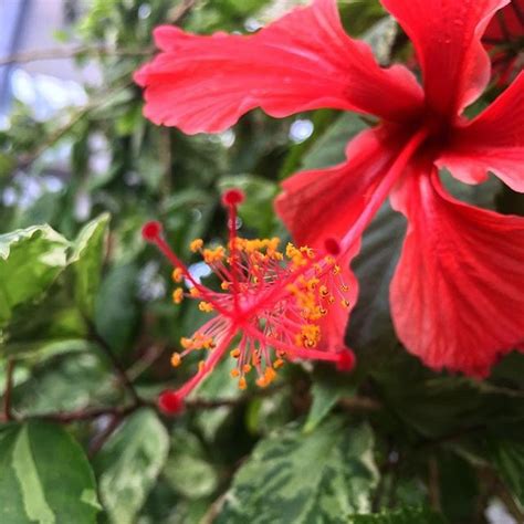 Azure Computer Vision Icon 的图像结果