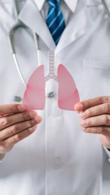 World Lung Day 2023: Know Here 10 Harmful Effects Of Smoking