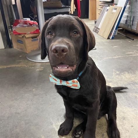 Tile for Every Space in Your Home - Your Flooring Warehouse