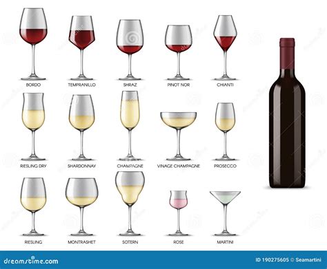 Wine Glasses Types, White and Red Wine Drink Cups Stock Vector ...