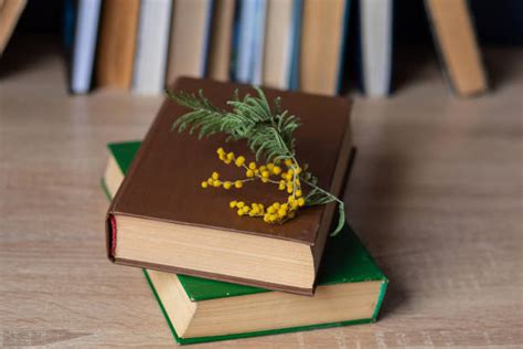 Image result for Book Report Introduction Examples