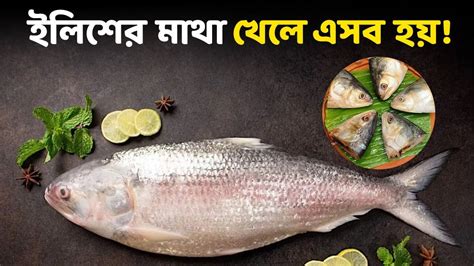Ilish Macher Matha Hilsa Fish Head - Ilish Macher Matha: ইলিশের মাথা কি ...