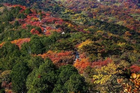 2021北京西山国家森林公园门票,北京北京西山国家森林公园游玩攻略,北京西山国家森林公园游览攻略路线/地址/门票价格-【去哪儿攻略】