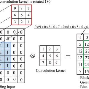 Image result for Coveolution Example
