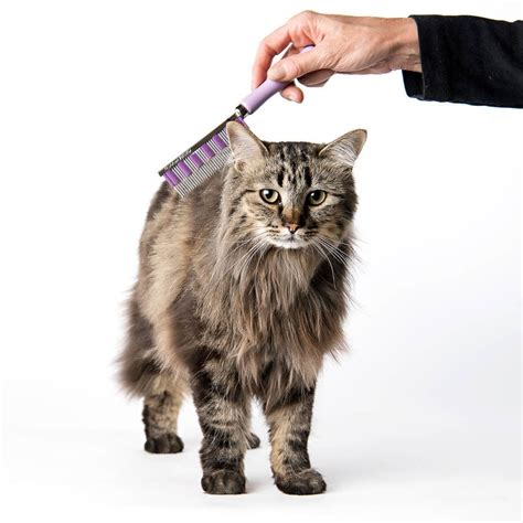 HairBuster Comb - Small Pet Select U.S.