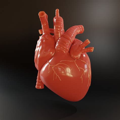 HUMAN HEART 3D model 3D printable | CGTrader