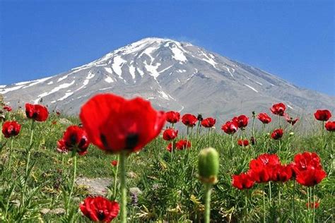 Persian Discoveries - Toronto | Tripadvisor