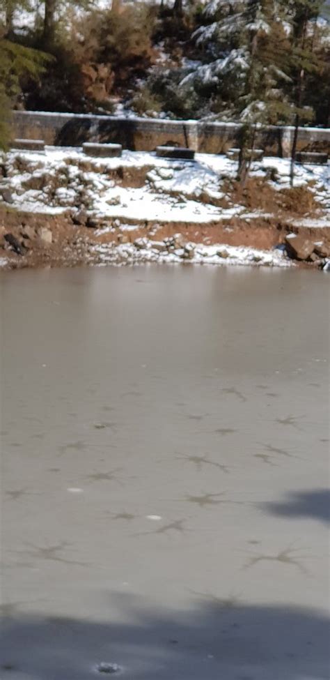 Dal Lake (McLeod Ganj) - 2019 What to Know Before You Go (with Photos ...