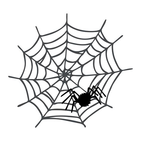 Simple hand drawn spider web illustration. Cute gossamer clipart ...