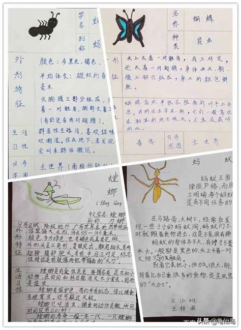 昆虫记小故事50字左右,昆虫记内容简介50字,小昆虫的作文50字_大山谷图库