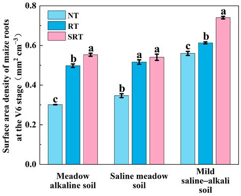 Effects of Tillage Practices on Soil Properties and Maize Yield in ...