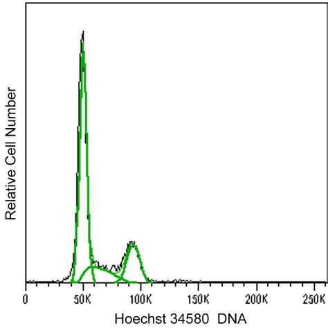 Hoechst Channel at Gail Hendershot blog