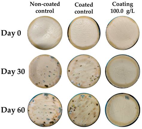 Development of a Natural Coating Based on Fermented Milk Whey for ...