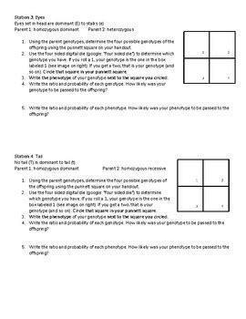 Alien Genetics Worksheet 的图像结果