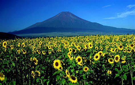 Image result for Open Py File Windows 7