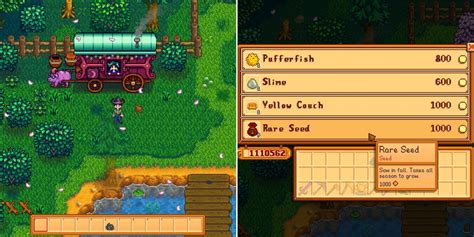 Stardew Valley Rare Seed: How To Grow It