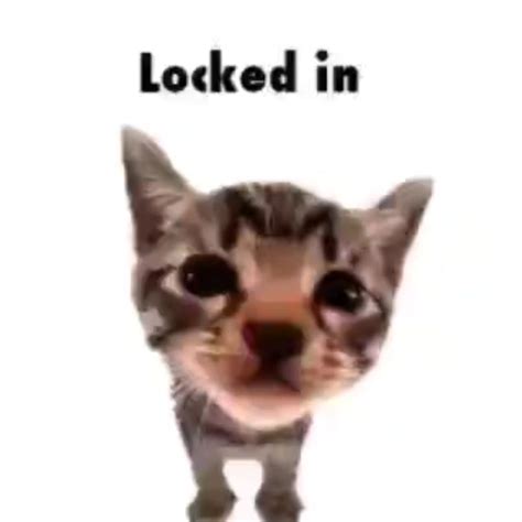 El_Gatito on Instagram: "Shhh he's locked in 🐱ㅤㅤ 🖼 made by ...