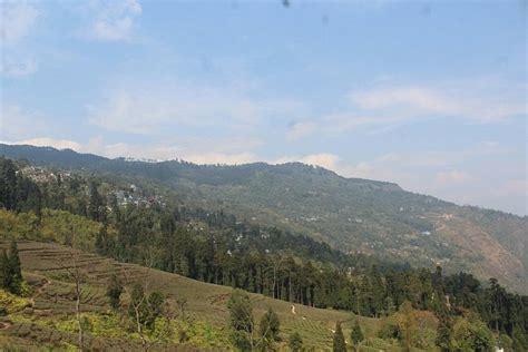 LIZA HILL (Takdah) - Guesthouse Reviews, Photos, Rate Comparison ...