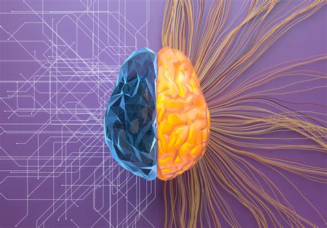 "The Awakened Brain": What Can Science Contribute To...