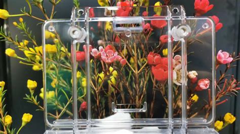 Polycarbonate vs Acrylic - ECOREPRAP