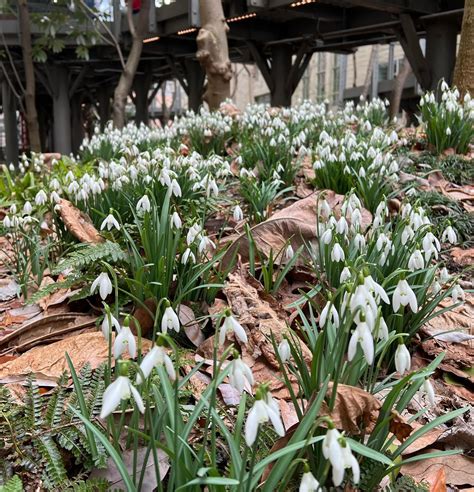 Hayden Winters Onlyfans