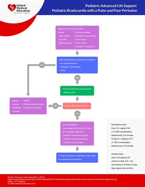 pals bradycardia algorithm - Pediatria I