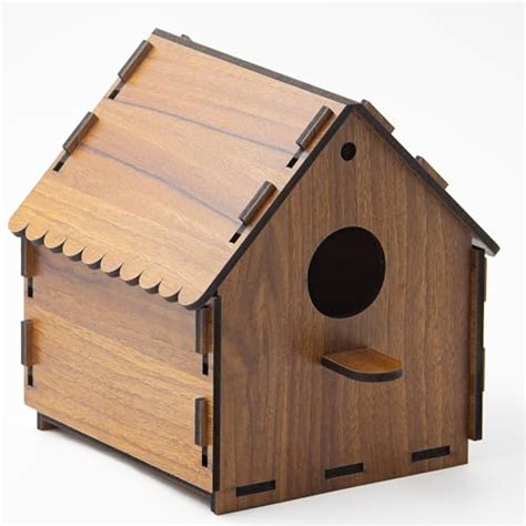 Amazon.in Bestsellers: The most popular items in Backyard Birding Supplies